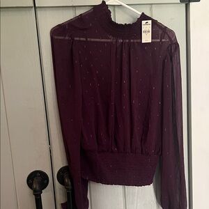 Express Plum Sheer Smocked Waist & Neck Long Sleeve Blouse